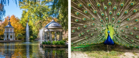 Jardins du Prince à Aranjuez, Madrid.