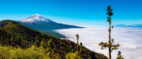 Der Teide