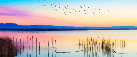 Parque Natural da Albufera