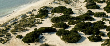 La spiaggia di Es Trenc