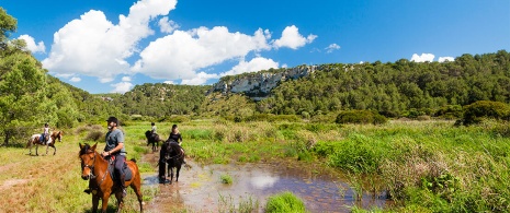 Horse riding tourism in Menorca