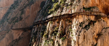 Stege auf dem Caminito del Rey in Malaga, Andalusien