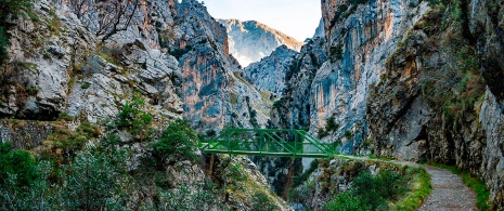 Pasarela en la Ruta del Cares