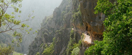 Hikers on the Cares Trail