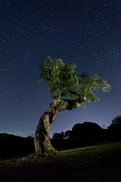 Sternenübersäte Himmel in Spanien