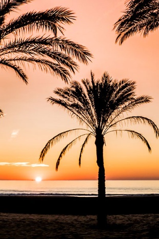  Lever du jour sur la plage de Cullera, province de Valence