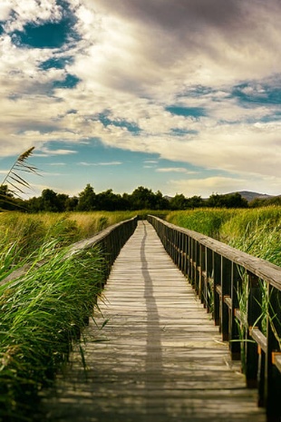 Lagune dans le parc national des Tablas de Daimiel