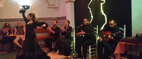 Flamenco-Vorführung in El Burro Blanco in Nerja, Málaga, Andalusien