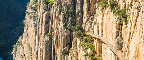 Caminito del Rey. Malaga. Vue de la passerelle.