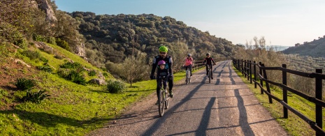 Des personnes font du cyclotourisme sur la Voie Verte de l