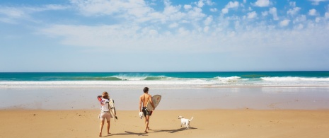 Plage El Palmar à Conil de la Frontera (province de Cadix)