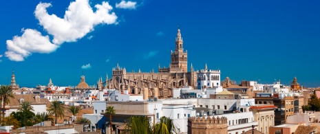 Vue de la cathédrale de Séville et La Giralda à Séville, Andalousie