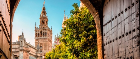 Ansicht der Giralda in Sevilla