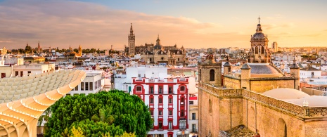 Vista de la Iglesia de la Anunciación y de la Catedral de Sevilla, Andalucía