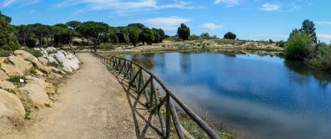 Ogród Botaniczny Dunas del Odiel w Huelvie