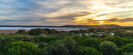 View of the Fuente de Piedra Lagoon in Malaga, Andalusia