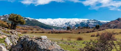 Widok na góry w Parku Narodowym Sierra Nevada w Grenadzie, Andaluzja