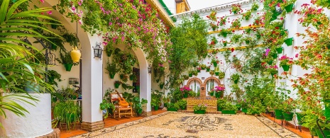 A courtyard in Cordoba