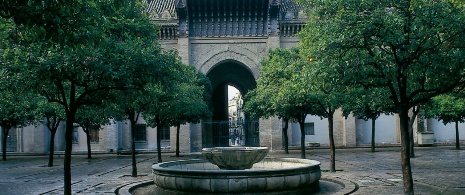 Paseo de los Naranjos, Séville 