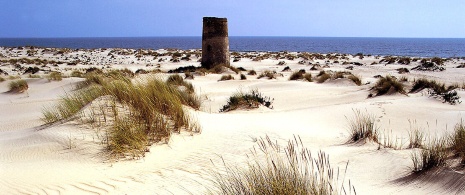 Parque Nacional de Doñana