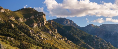 Der Nationalpark Sierra de las Nieves in Málaga, Andalusien