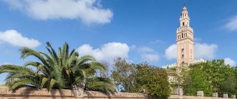 Réplique de la Giralda à l’Arboç del Penedés dans la province de Tarragone, Catalogne