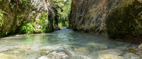 Route de randonnée de la rivière Chillar. Nerja