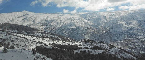 Sierra Nevada, Grenada