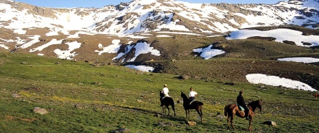 Tourisme équestre dans le parc national de Sierra Nevada, province de Grenade (Andalousie)