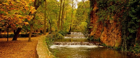 La natura nel monastero di Piedra