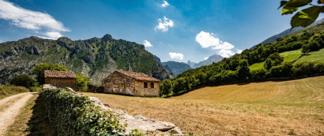 Paisaje bucólico en mitad de los Picos de Europa cerca de Cabrales, Asturias.