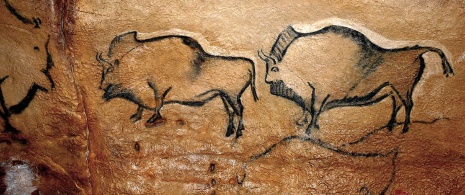 Bisons in der Höhle von Covaciella