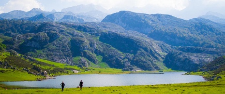 Jezioro Ercina w jeziorach Covadonga, Asturia