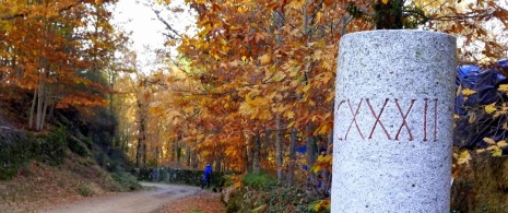 La Vía de la Plata a su paso por Asturias