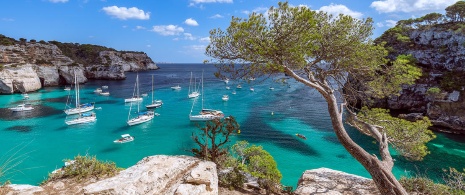 Cala Macarella, Minorca