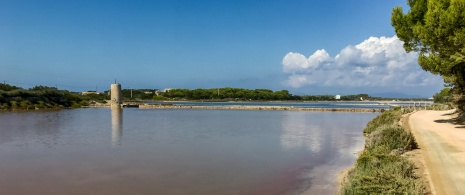 Blick auf die Estany Pudent im Naturpark Ses Salines auf Formentera, Balearische Inseln