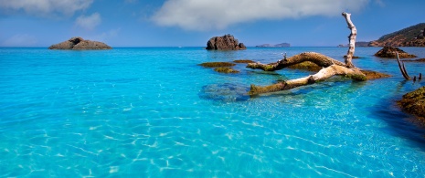 Strand Aigües Blanques, Ibiza