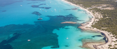 Plaża Es Trenc na Majorce 