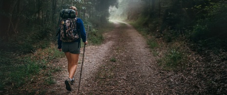  Une pèlerine traverse une forêt en Galice