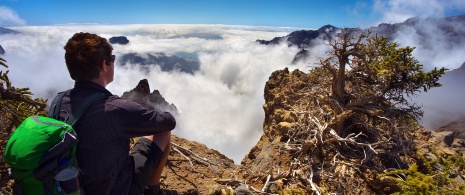 Podczas wycieczki w Parku Narodowym Caldera de Taburiente