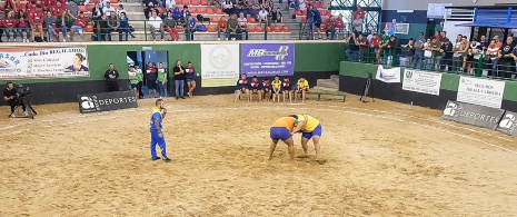 Immagine del campionato di lotta canaria