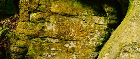 Gravure rupestre dans le parc culturel La Zarza et La Zarcita de Garafía à La Palma, îles Canaries