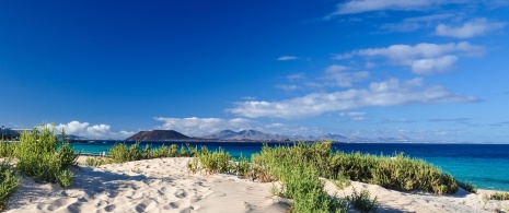 Widok wydm w Corralejo na Fuerteventurze, Wyspy Kanaryjskie