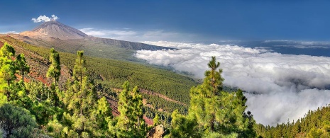 Szczyt Teide z miejsca w pobliżu punktu widokowego Chipeque, Teneryfa 