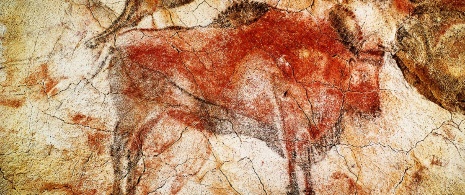 Bison. Höhle von Altamira. Santillana del Mar. Kantabrien