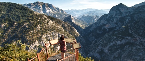 Vue depuis le belvédère de Santa Catalina, pics d’Europe