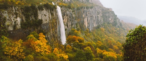 Sorgente del fiume Asón.