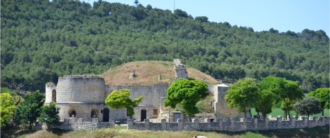 Château du XVe siècle à Astudillo, province de Palencia