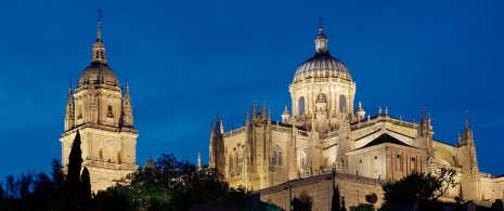 Cathédrale de Salamanque