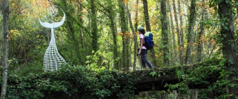 Camino del Agua (The Water Path) in the Las Batuecas-Sierra de Francia Nature Reserve.